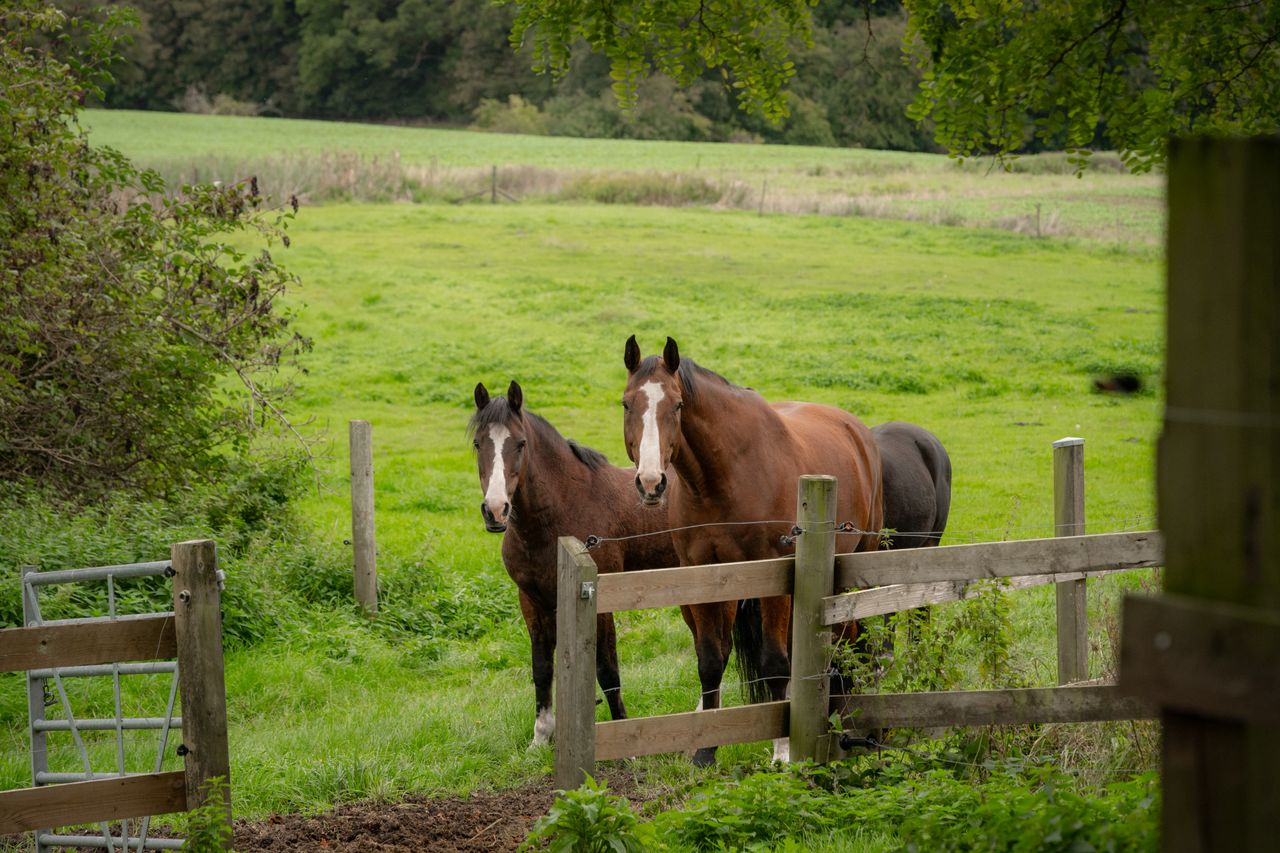 image 02